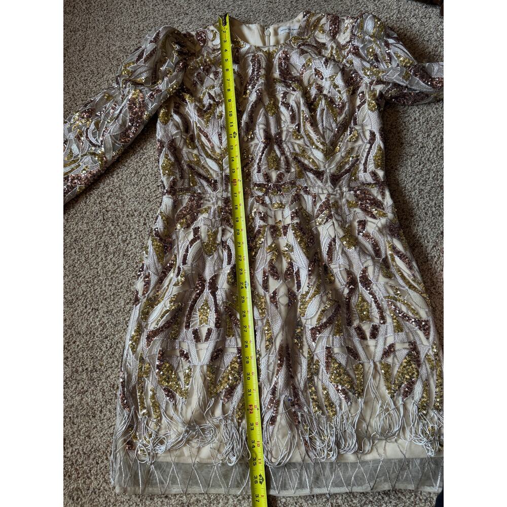 Sequin Fringe Mini Dress Flapper 1920s Great Gatsby Formal Embellished XXL - Picture 5 of 8